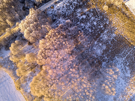 2025_02_20__08_49_DJI_0321.jpg