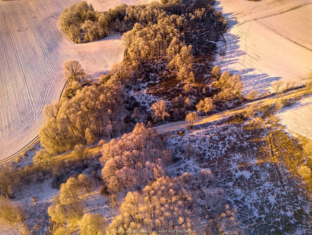 2025_02_20__08_49_DJI_0322.jpg