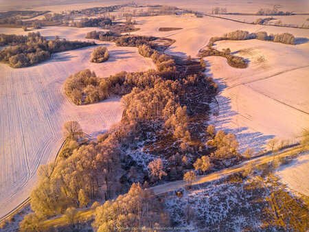 2025_02_20__08_49_DJI_0323.jpg