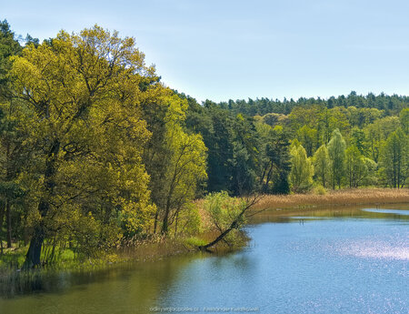 Pociągiem do Nietoperka