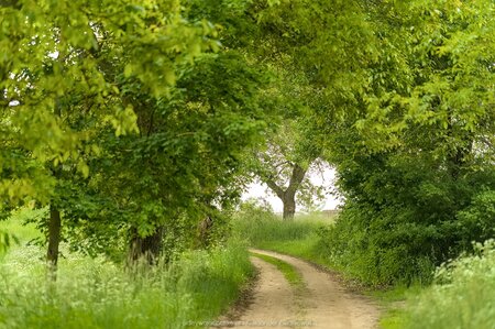 Pobiedzisko Letniska i Kaczyna