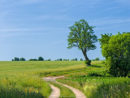 Turostowo i Skrzetuszewo