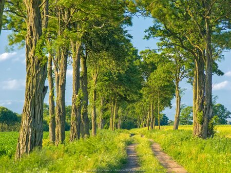 Głębokie rowerem elektrycznym