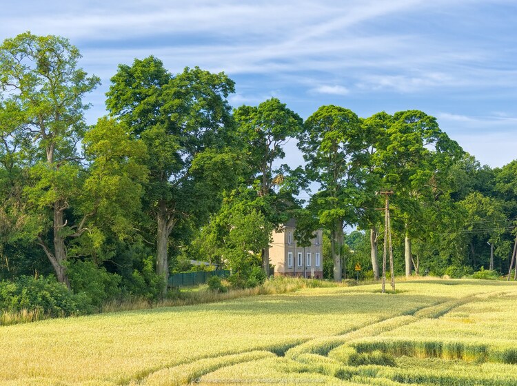 Droga Ziemomyśl - Sądów (195.2265625 kB)