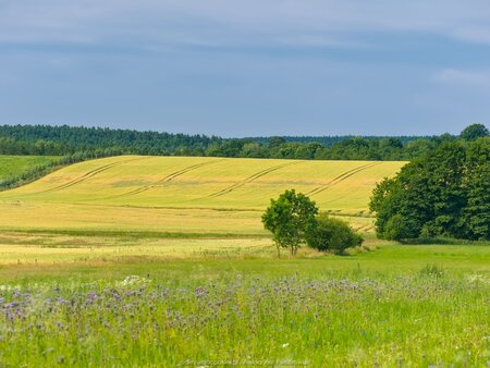 Okolice Suchanówka