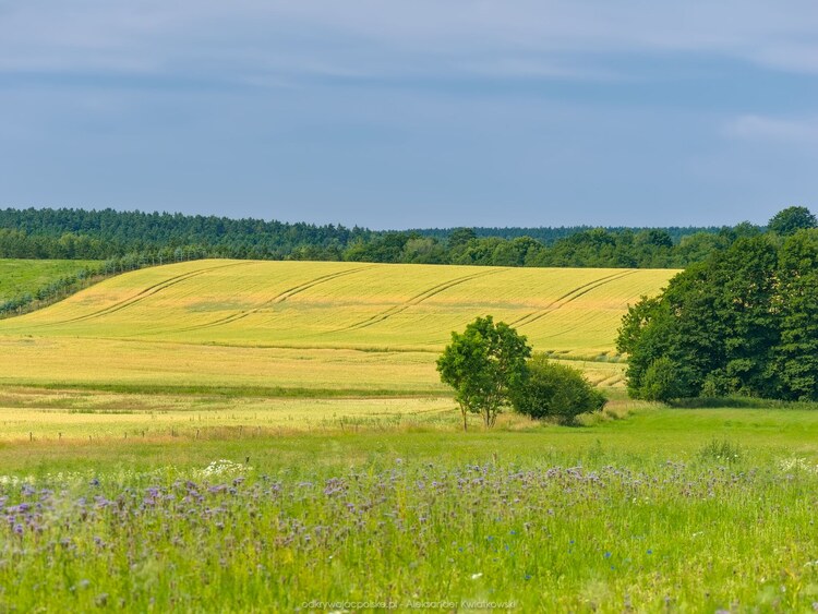 Okolice Suchanówka (146.8564453125 kB)