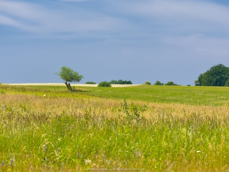 Okolice wsi Biała (134.798828125 kB)