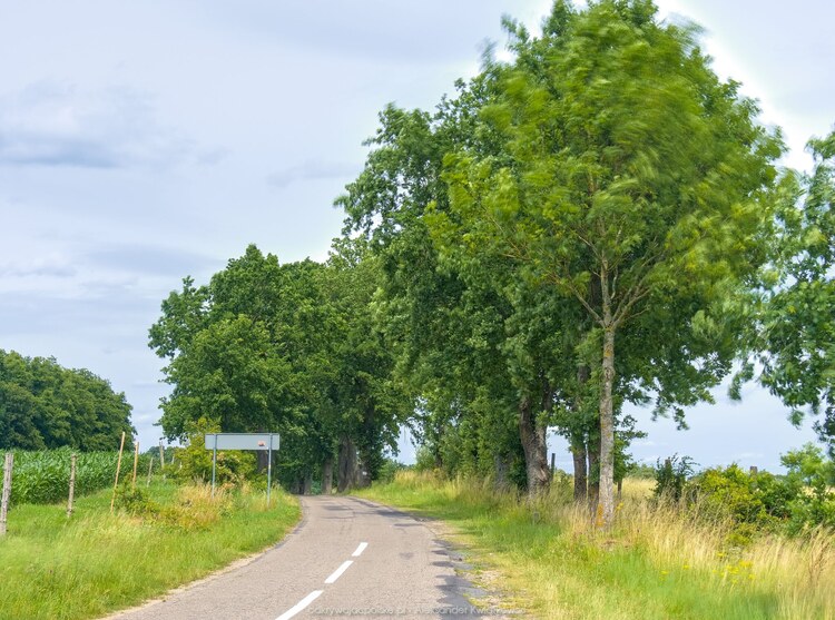 Zaczynaja się 'drawskie' tereny (171.92578125 kB)