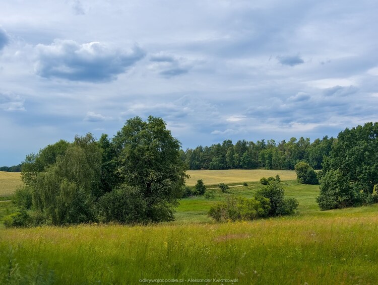 Droga do Kumki Kolonia (141.4404296875 kB)