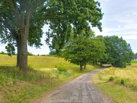 Droga do Drawska Pomorskiego (1)