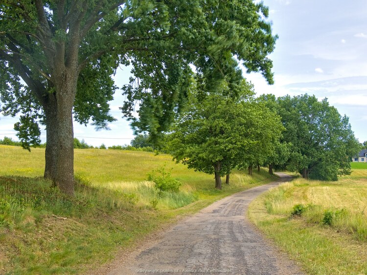 Droga do Drawska Pomorskiego (1) (199.595703125 kB)