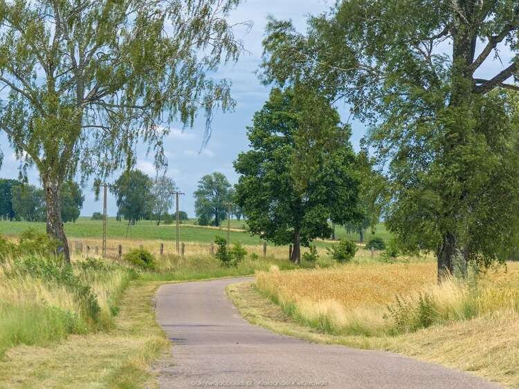 Droga do Drawska Pomorskiego (2) (207.1162109375 kB)