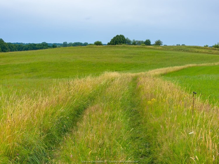 Tu jechaliśmy (162.8095703125 kB)