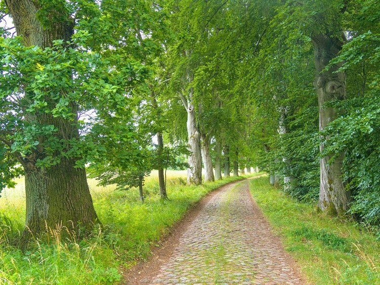 Powrót po bruku (242.45703125 kB)