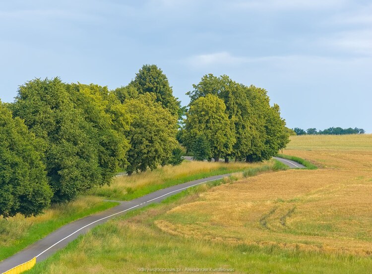 Ścieżka rowerowa z Drawska Pomorskiego w stronę Lubieszewa (158.9111328125 kB)