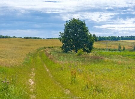 Tutaj nie jechaliśmy