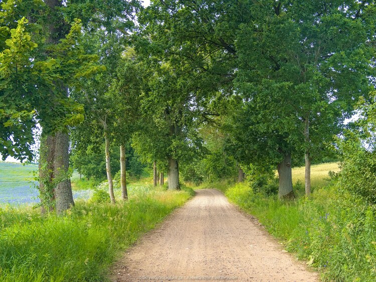 Droga idealna na rower (229.8623046875 kB)