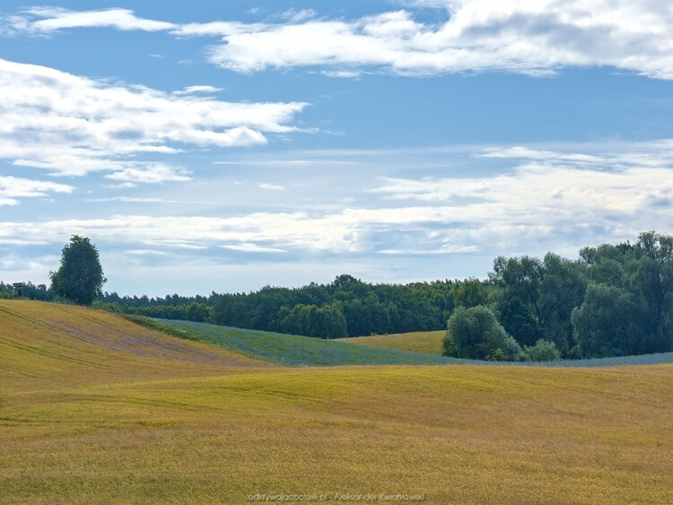 Pofalowany teren (136.5673828125 kB)