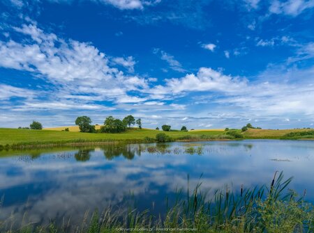 Mokradła obok Nowego Worowa
