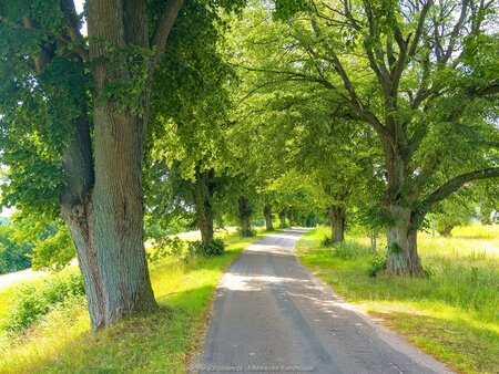 Obok punktu widokowego