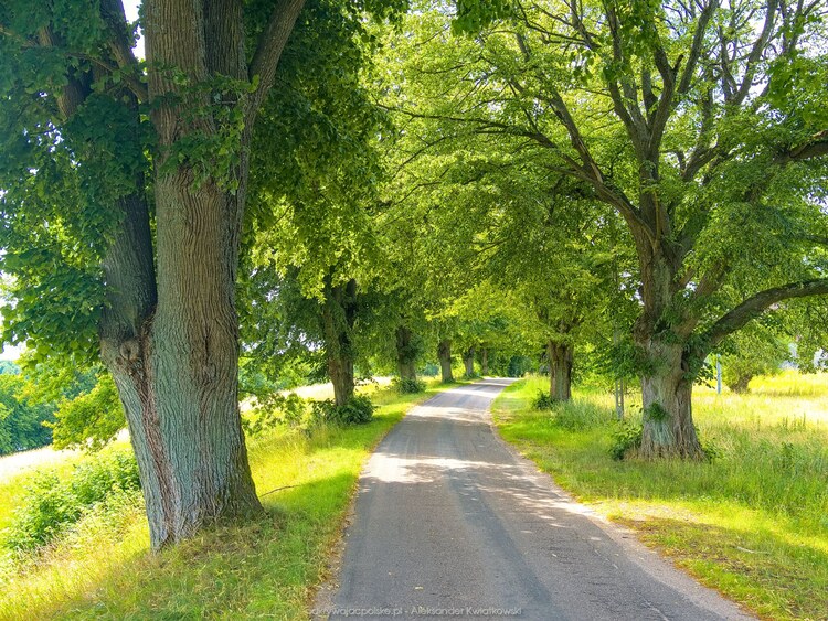 Obok punktu widokowego (230.83203125 kB)