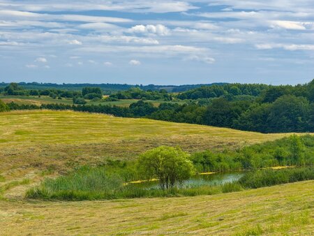 Staw obok Bolegorzyna
