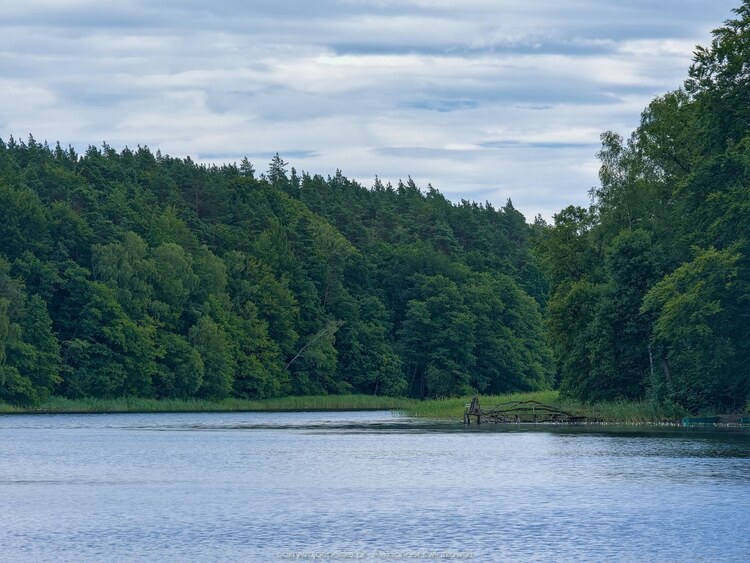 Jezioro Dębno (156.23828125 kB)