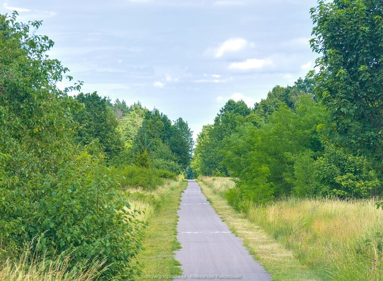 Ścieżka po starej linii kolejowej w Starym Chwalimie (od Barwice) (183.169921875 kB)