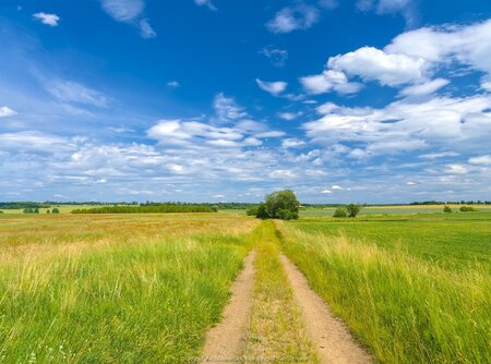 Krótka droga gruntowa