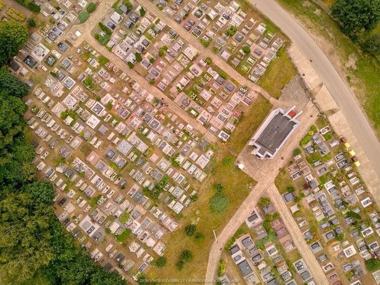 Cmentarz w Pieniężnie (204.0498046875 kB)