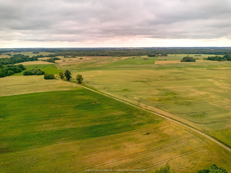 Warmińska droga gruntowa (127.8681640625 kB)