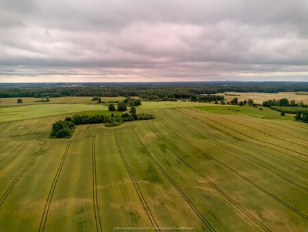 2025_07_12__10_51_DJI_0567.jpg
