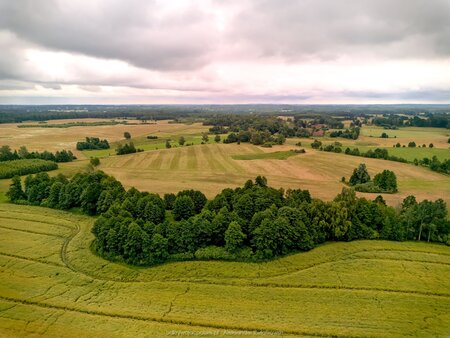 2025_07_12__10_52_DJI_0569.jpg