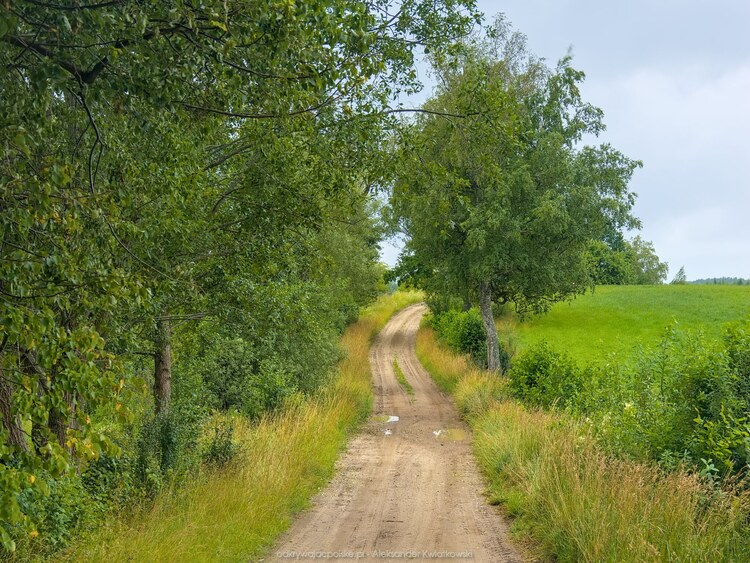Droga przez Kwiatkowo (210.1181640625 kB)