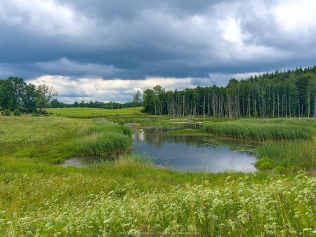 Pod granicę z Rosją