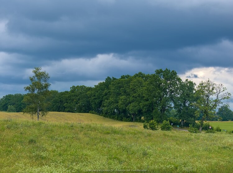Droga do Dzikowa Iławieckiego (148.1884765625 kB)