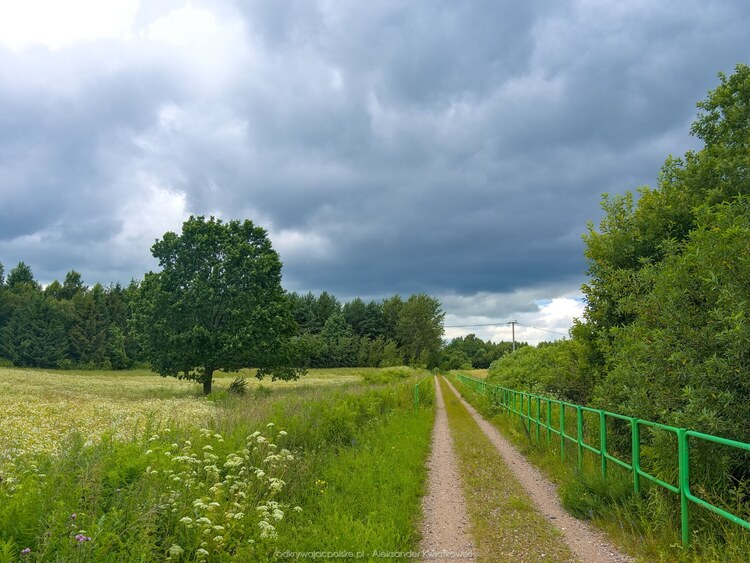 Po starej trasie kolejowej (157.015625 kB)