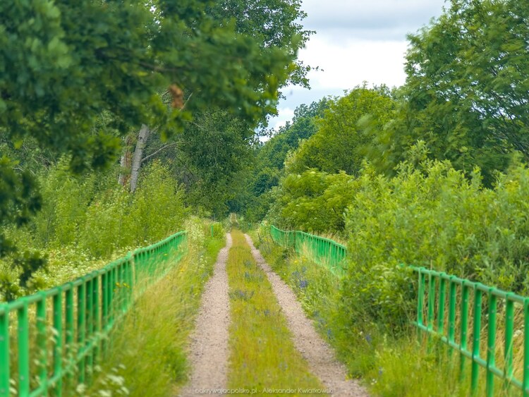 Prosto do Górowa Iławieckiego (172.888671875 kB)