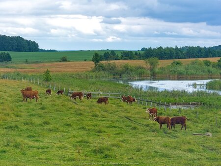 Okolice wsi Wojmiany