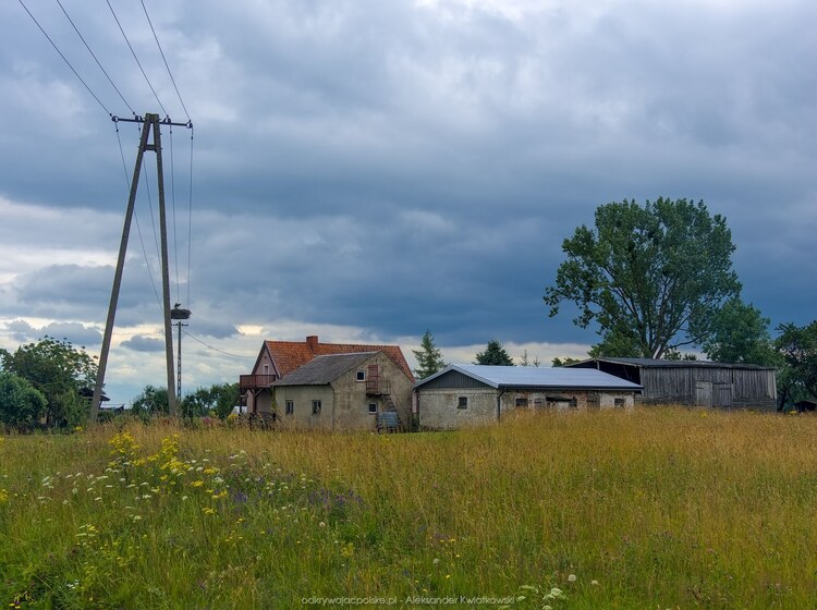 Wieś Wojmiany (142.2421875 kB)