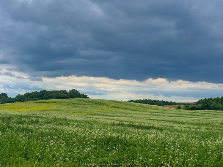 Pagórki obok wsi Woryny (141.693359375 kB)