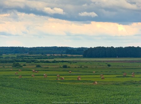 Obniżenie terenu przy rzece Elma