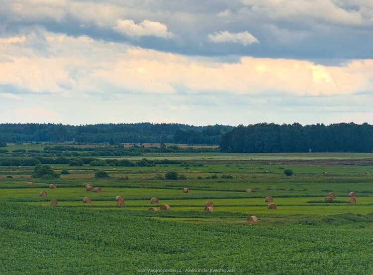 Obniżenie terenu przy rzece Elma (135.93359375 kB)