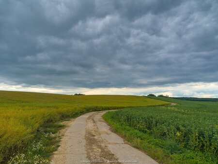 Droga przez rzekę Elmę