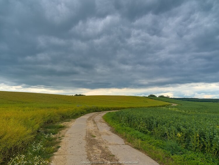 Droga przez rzekę Elmę (131.56640625 kB)