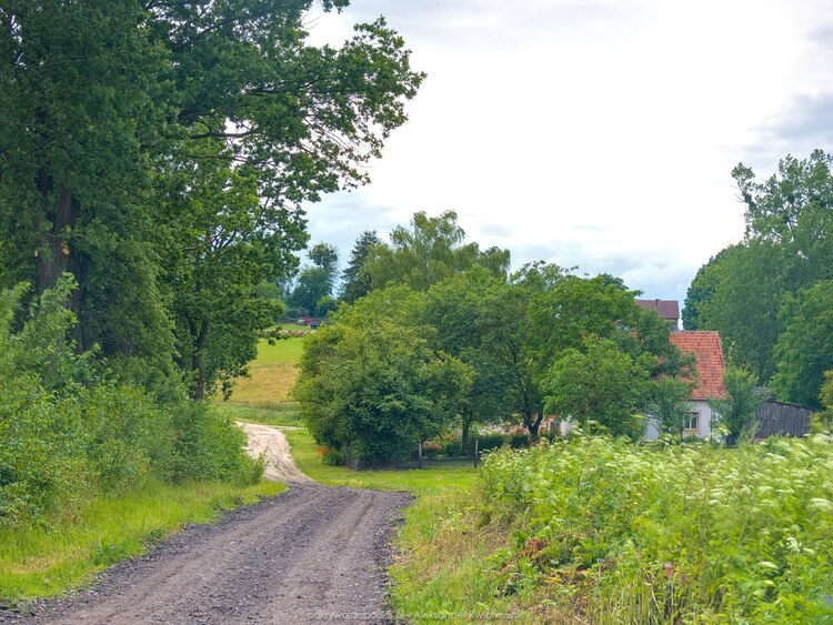 Opuszczając Barciszewo (190.5859375 kB)