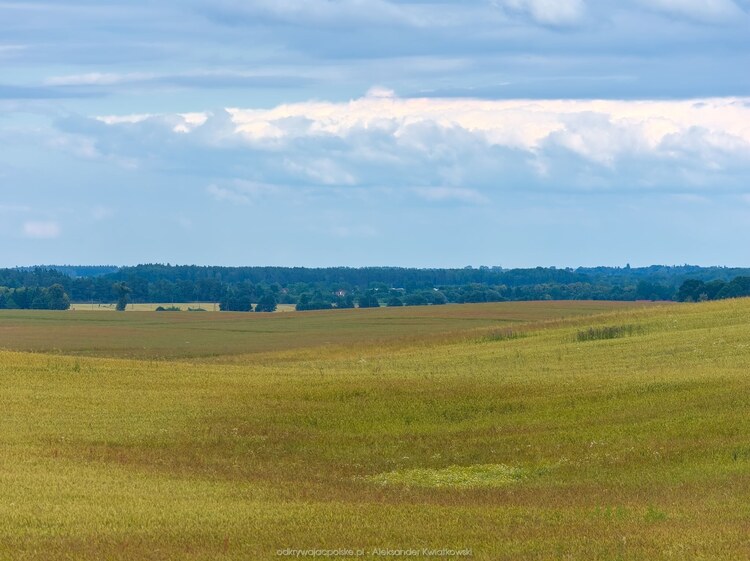 Tu była kałuża (129.4931640625 kB)