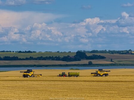 I zaczęły się żniwa
