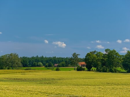 Budynki obok wsi Liski
