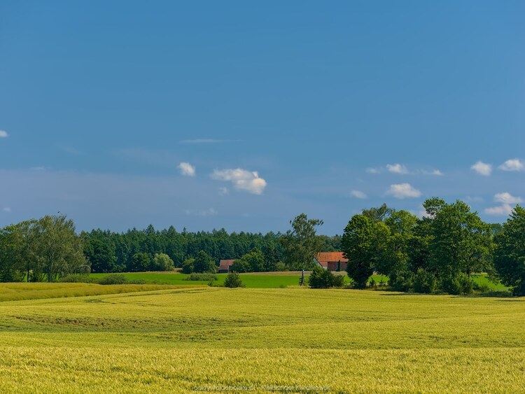 Budynki obok wsi Liski (129.431640625 kB)
